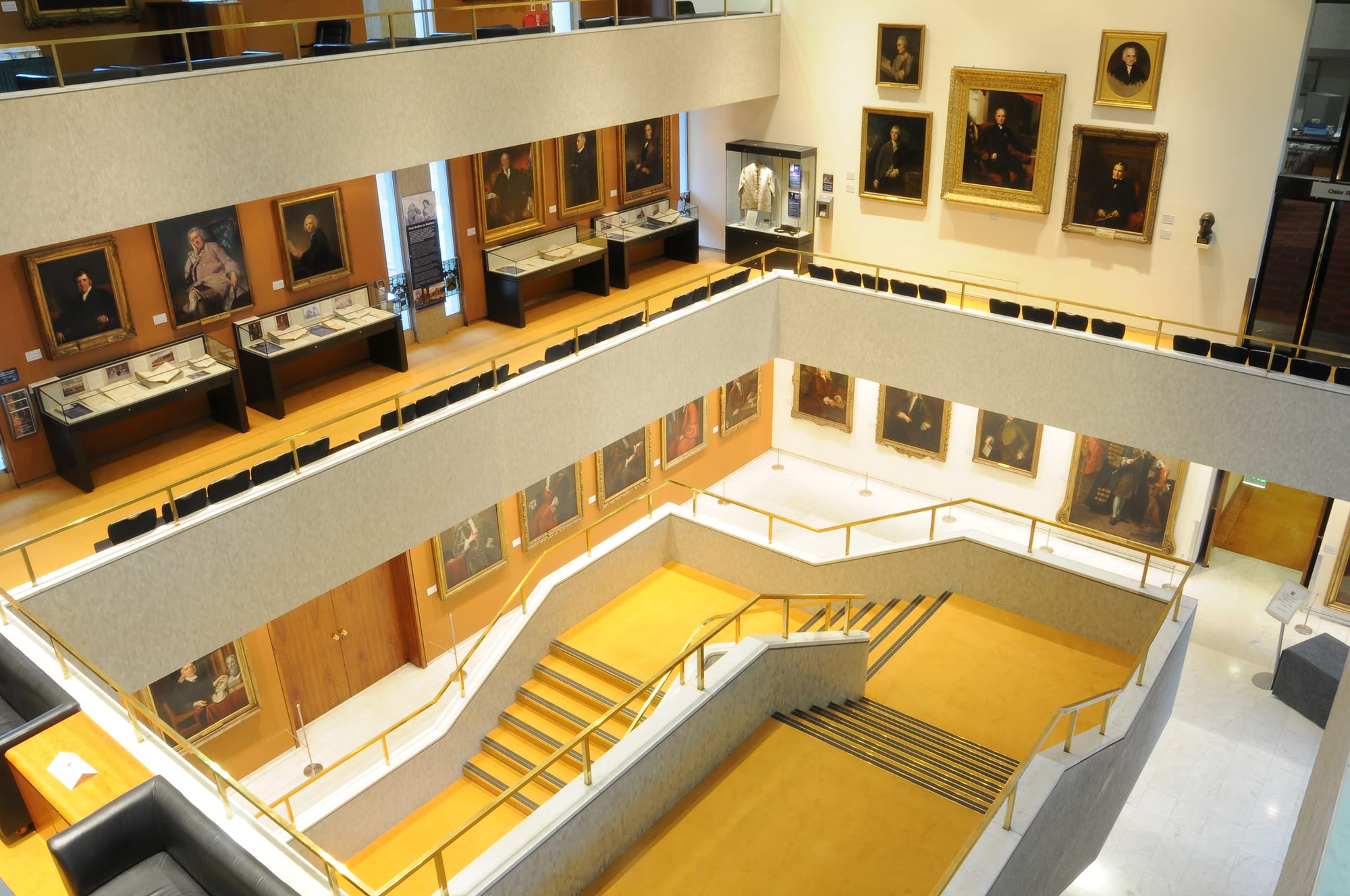 new_museum_mla_montage_0_0_0.png