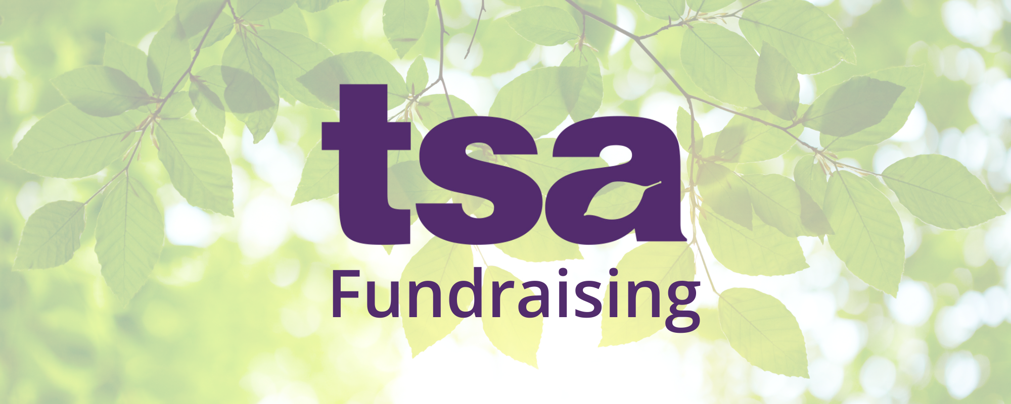 TSA Fundraising Banner Seasonal (1)