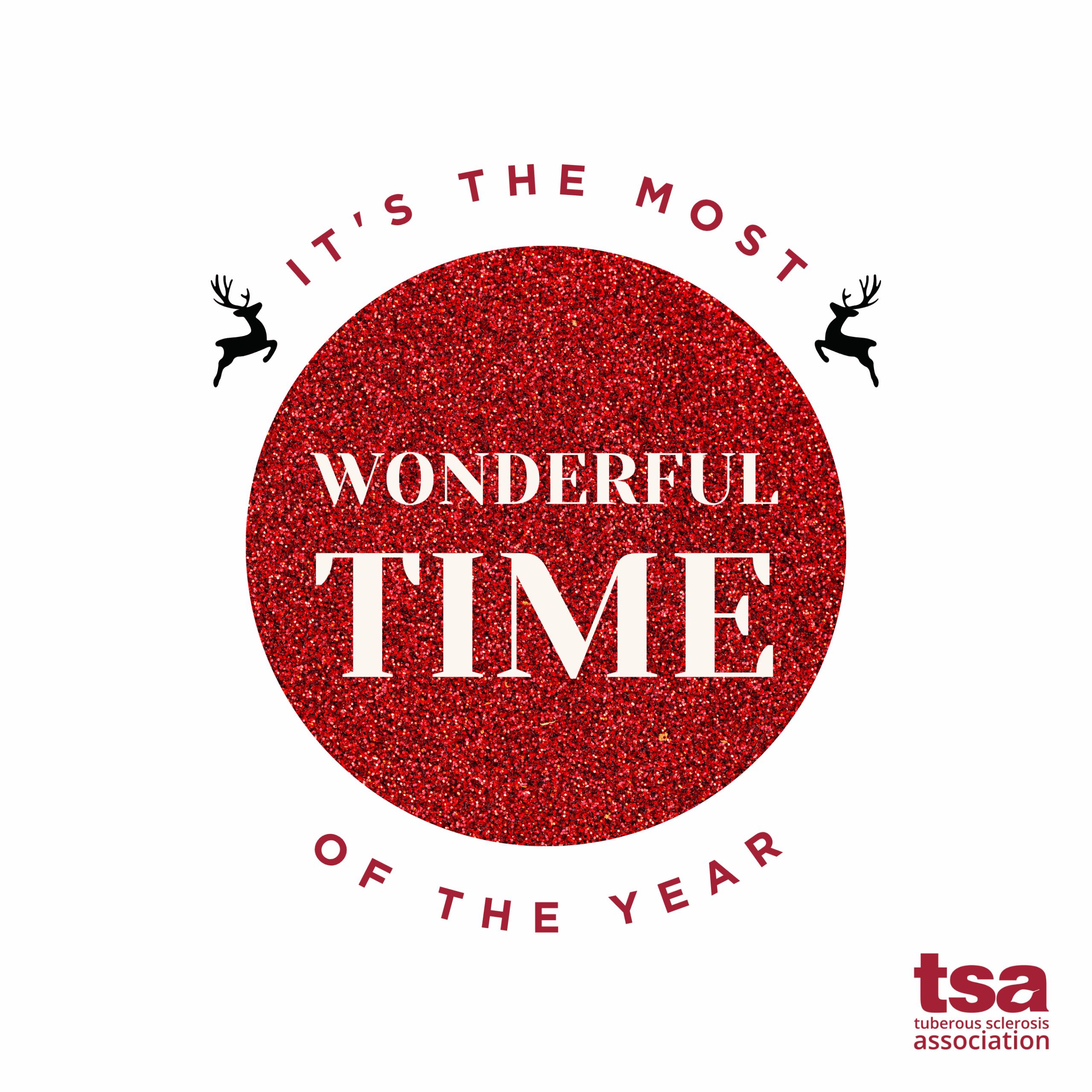 TSA Christmas e-Cards - Image 3