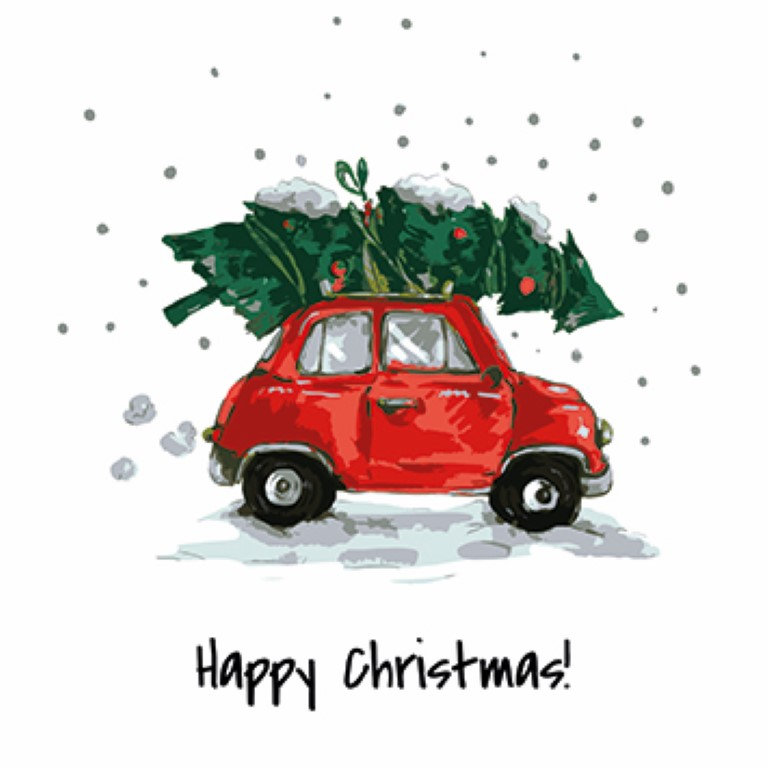 Looking for TSA Charity Christmas Card Packs? - Image 9