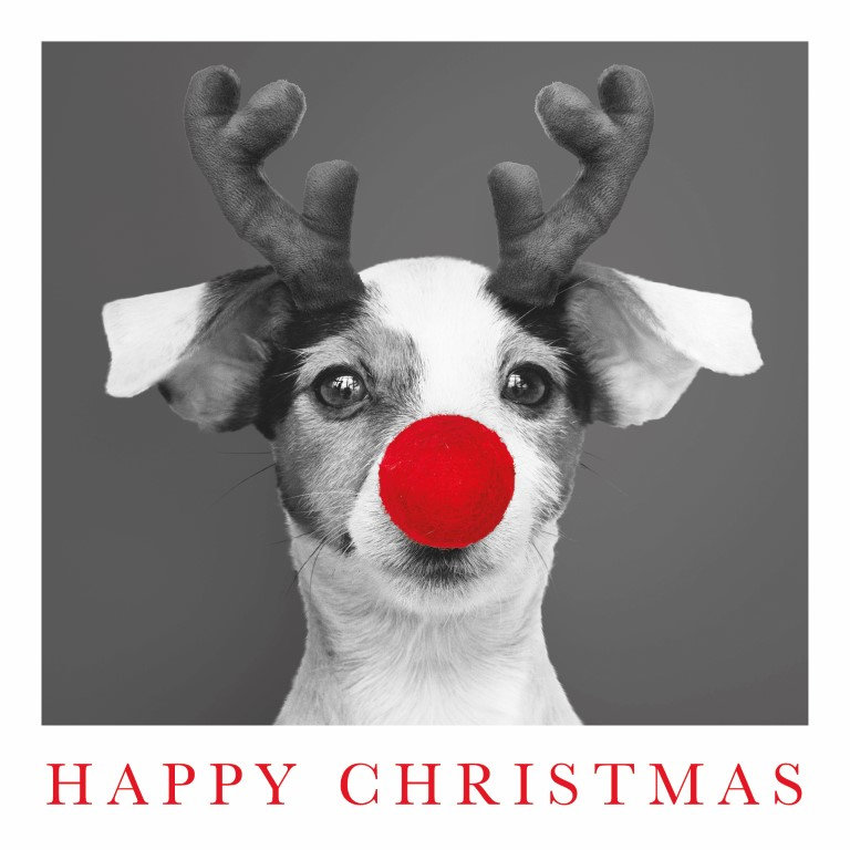 Looking for TSA Charity Christmas Card Packs? - Image 7