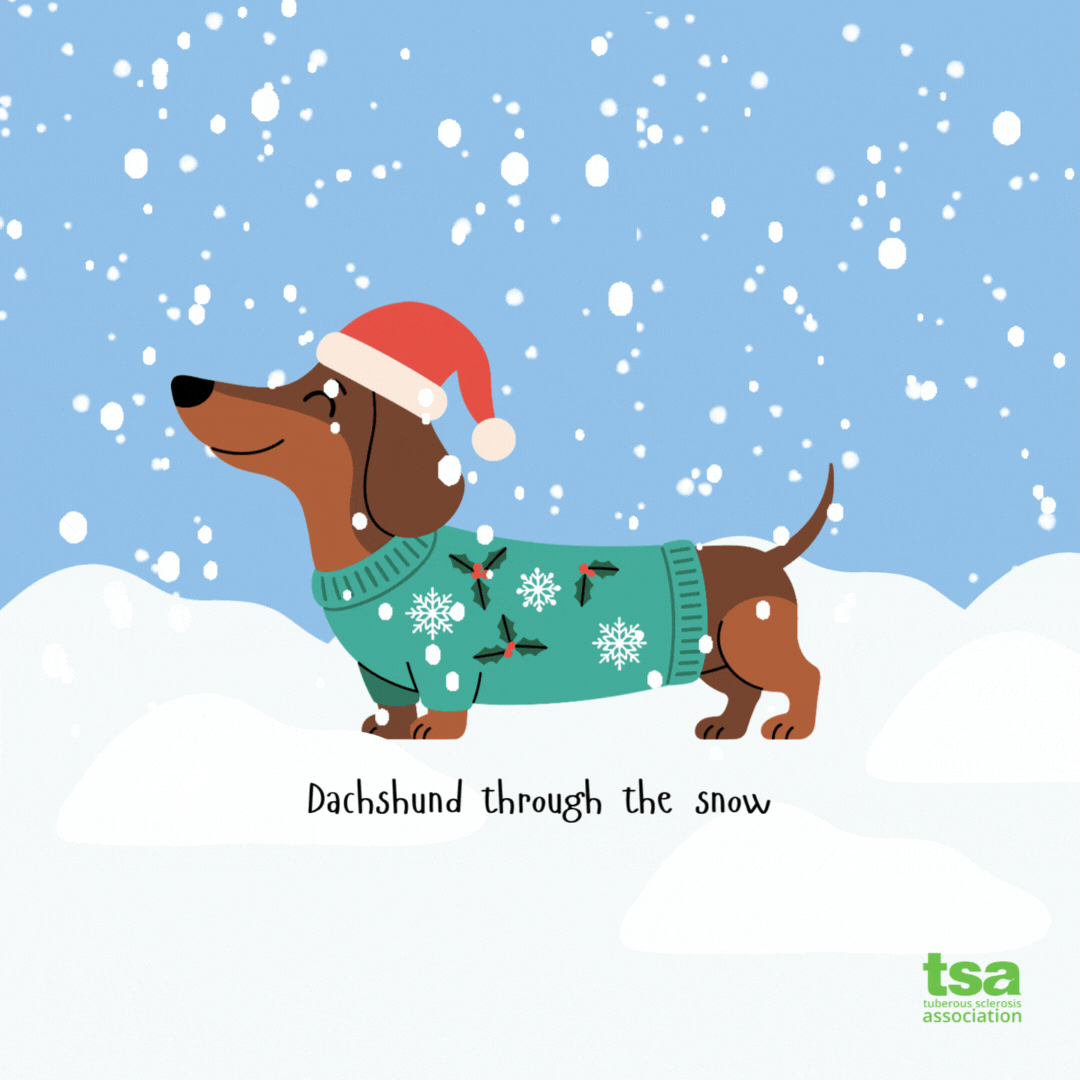 TSA Christmas e-Cards - Image 5
