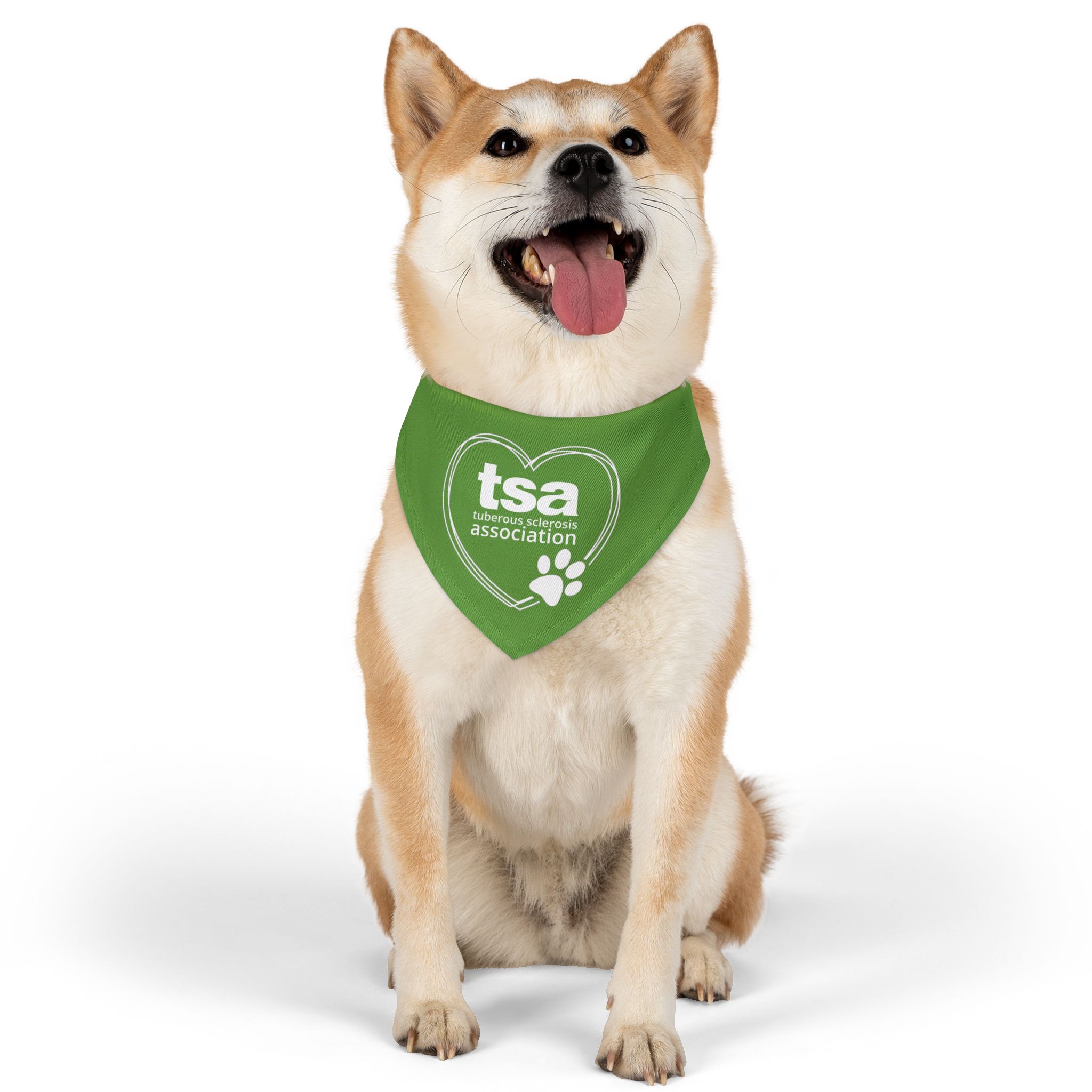TSA Pet Bandana Collar Green - Image 4