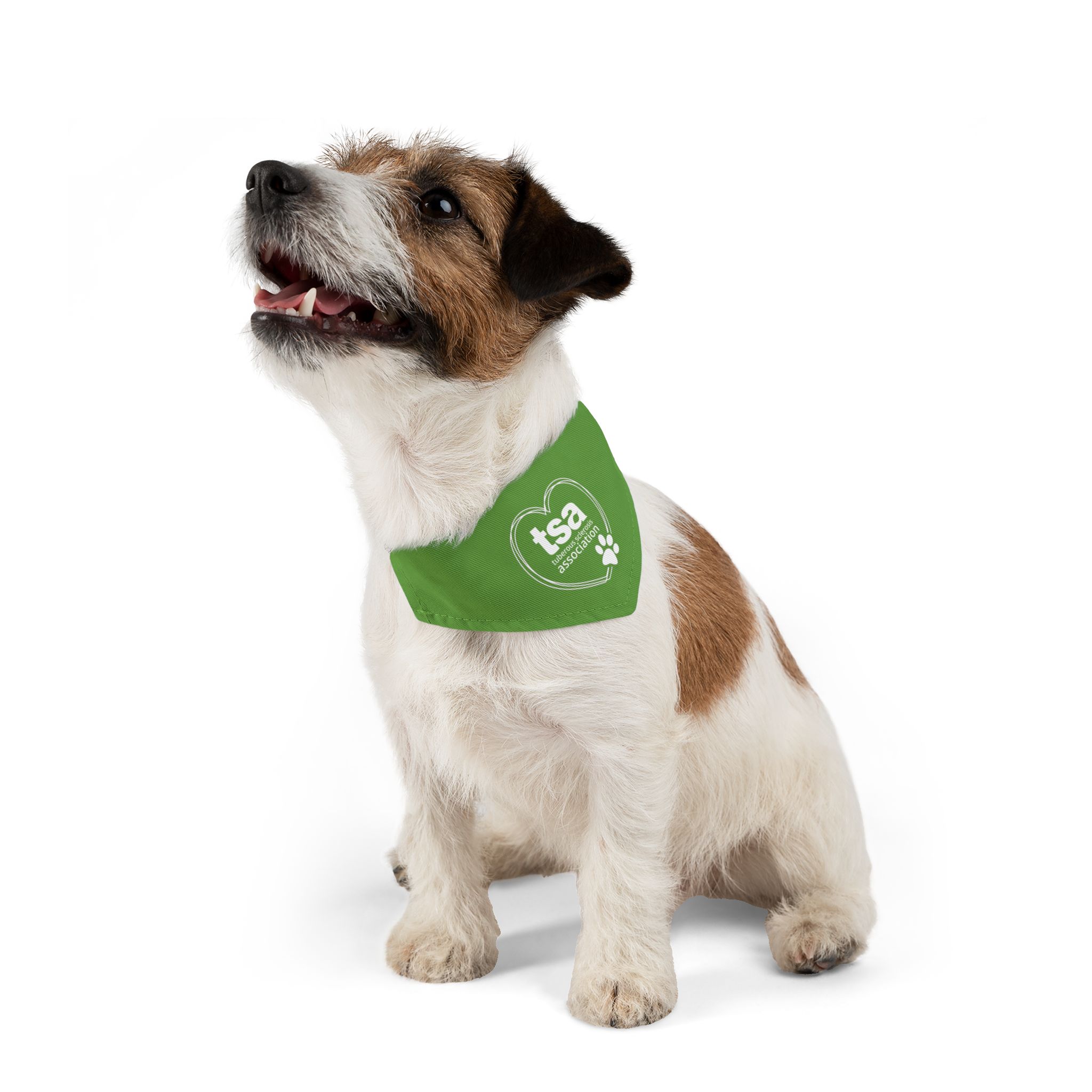 TSA Pet Bandana Collar Green - Image 6