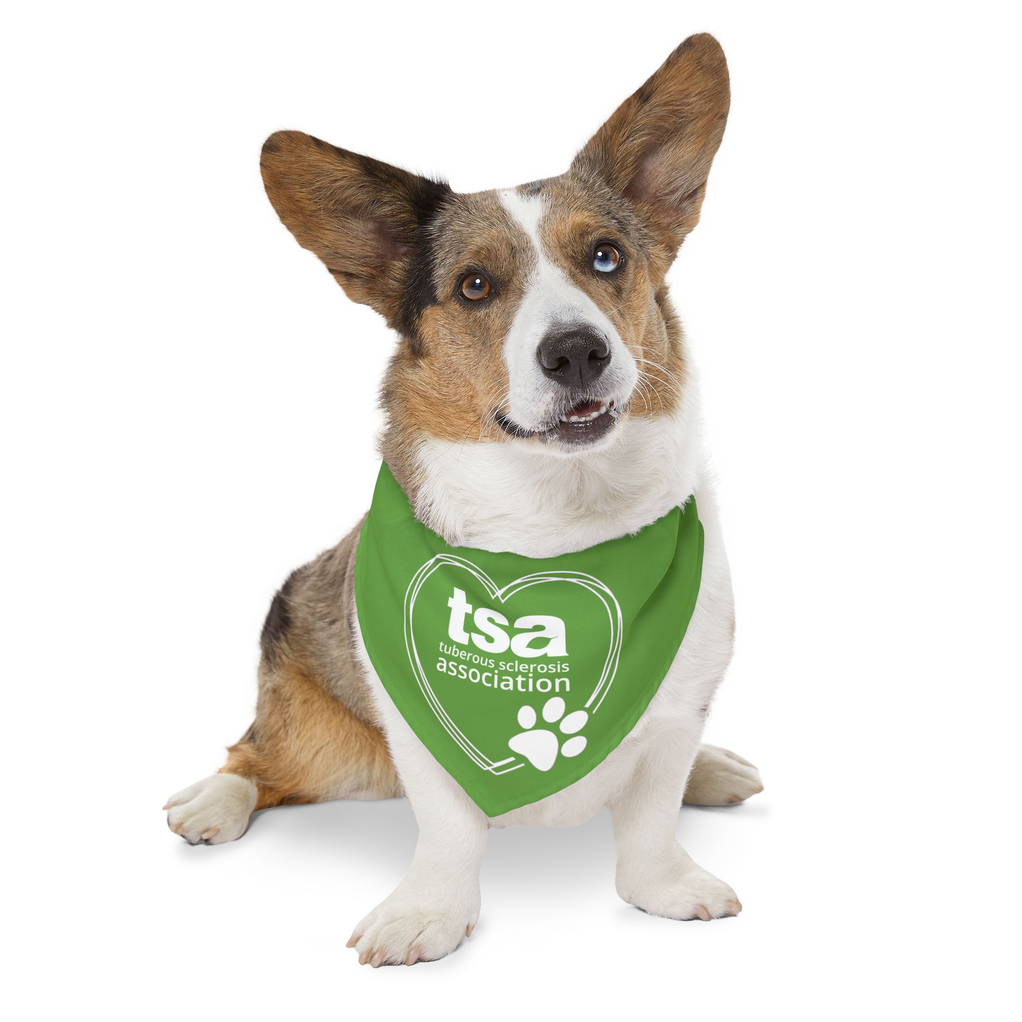 TSA Pet Bandana Collar Green - Image 8